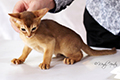 Aby